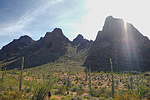 photo thumbnail #6