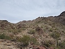photo thumbnail #3