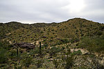 photo thumbnail #7