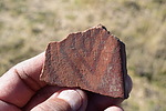 photo thumbnail #13