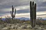 photo thumbnail #12