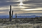 photo thumbnail #13