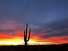 photo thumbnail #2