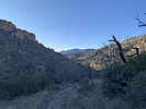 photo thumbnail #2
