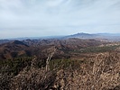 photo thumbnail #1