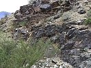 photo thumbnail #8