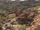 photo thumbnail #2