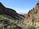 photo thumbnail #8