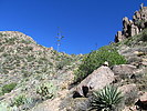 photo thumbnail #15