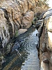 photo thumbnail #15