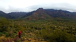 photo thumbnail #2