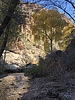 photo thumbnail #10