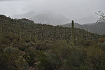 photo thumbnail #4