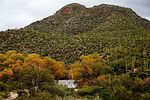 photo thumbnail #5