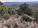 photo thumbnail #10