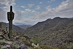 photo thumbnail #15