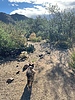 photo thumbnail #1