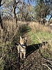 photo thumbnail #3