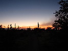 photo thumbnail #1