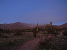 photo thumbnail #2