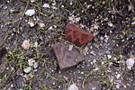 photo thumbnail #5