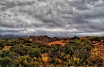 photo thumbnail #4