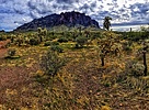 photo thumbnail #5