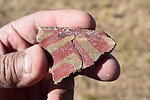 photo thumbnail #12