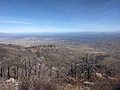 photo thumbnail #1