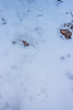 photo thumbnail #14