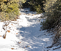 photo thumbnail #15