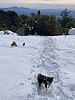 photo thumbnail #2