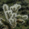 photo thumbnail #4