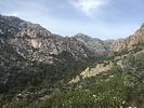 photo thumbnail #3