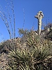 photo thumbnail #2