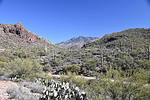 photo thumbnail #2