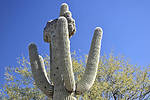 photo thumbnail #8