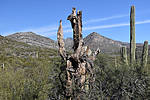 photo thumbnail #9