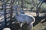 photo thumbnail #14