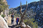 photo thumbnail #4