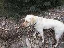 photo thumbnail #6