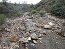 photo thumbnail #7