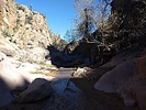 photo thumbnail #5