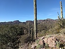 photo thumbnail #11