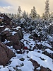 photo thumbnail #4
