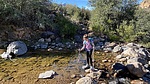photo thumbnail #2