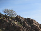 photo thumbnail #2