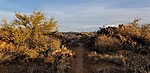 photo thumbnail #4