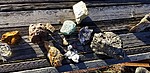 photo thumbnail #14