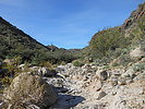 photo thumbnail #7